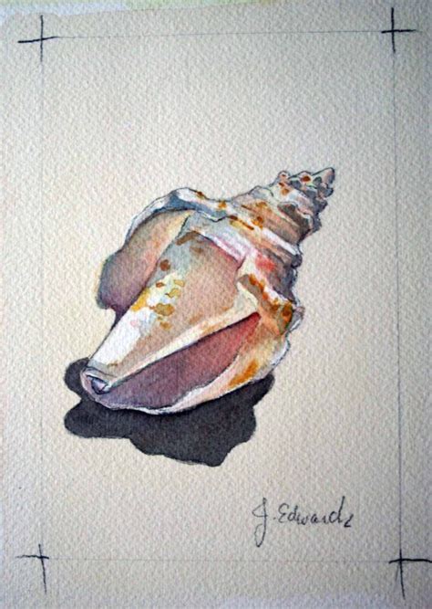 Pin by Elizabeth Williams on Shells | Watercolor sea, Art drawings ...