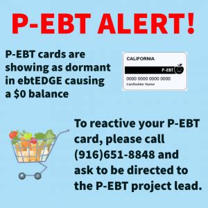 Trouble with your Pandemic EBT card (P-EBT) showing a $0 balance ...