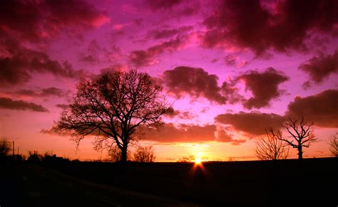 1920x1080 wallpaper | Tree, Sunrise, Sky, Sunset, Nature, sunset ...