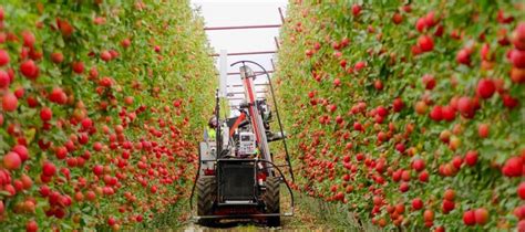 Abundant Robotics shuts down fruit harvesting business