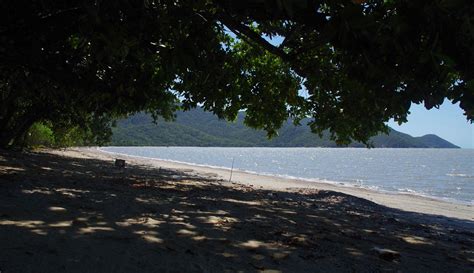 Yarrabah Beach from under Calophyllum inophyllum, near Cai… | Flickr