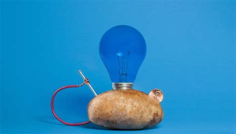 How to Make a Potato-Powered Light Bulb | Experimentos de electricidad ...