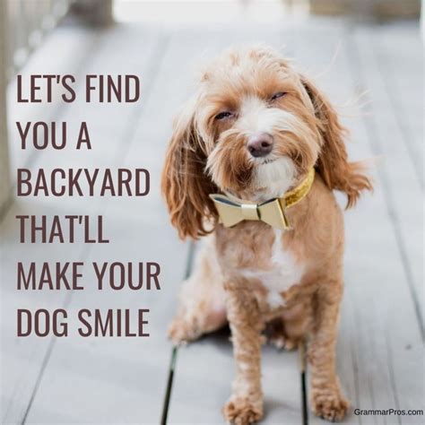 Is Your Dog Smiling? | Real estate fun, Real estate advertising, Real ...