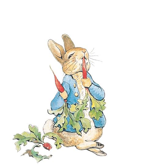 Rediscover the Enchanting Illustrations of Beatrix Potter | Knutsford Times