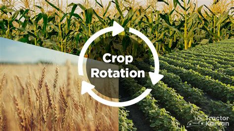 Crop Rotation Examples