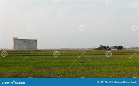 Building of Edible Swiftlet Bird S Nests To Attract Birds To Come and ...