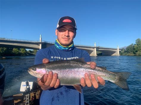 Fishing - Trout fishing on the Sacramento River