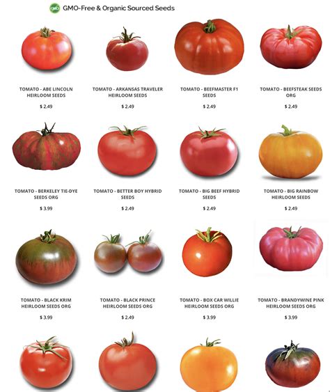 Heirloom Tomato Seeds | Heirloom tomatoes varieties, Heirloom tomato ...