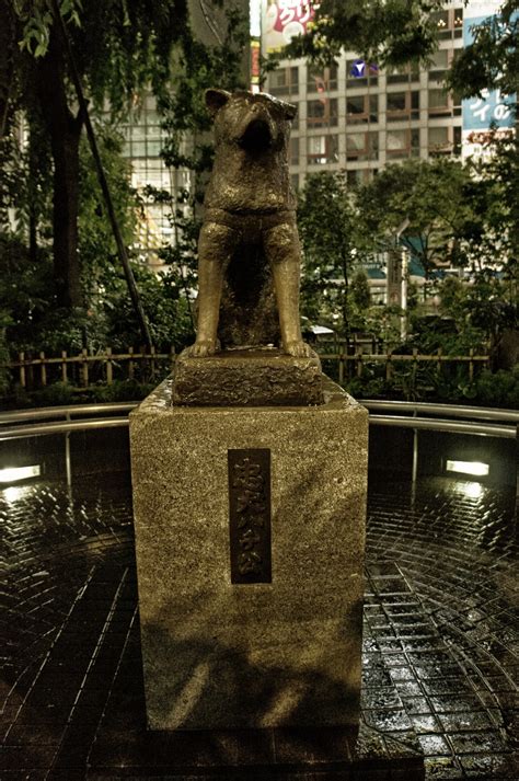 Download free photo of Hachiko,dog,statue,tokyo,japan - from needpix.com