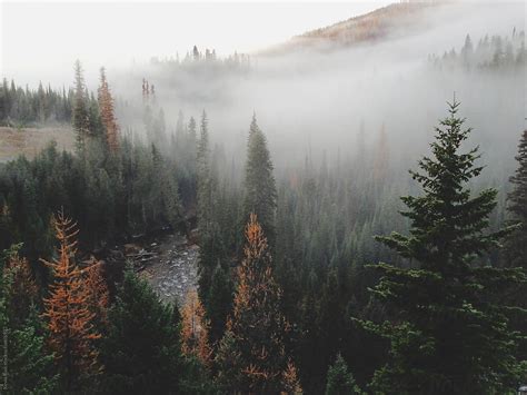 "Foggy Mountain Forest River" by Stocksy Contributor "Kevin Russ" - Stocksy