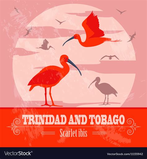 Trinidad and tobago national symbols scarlet red Vector Image