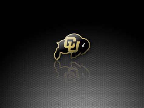 Colorado Buffaloes Wallpaper : Buffaloes Mascot | goawall