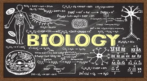 Apa yang Disebut Biologi, dan Apa yang Dipelajari Dalam Biologi ...