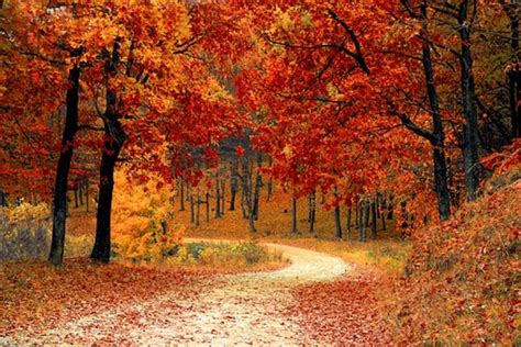 Fall Foliage 2017: The Best Time To See Leaves Change In North Carolina ...