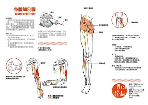 Nerve damage prevention