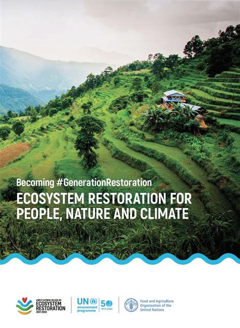 UN Decade on Ecosystem Restoration: UN Urges Intense Restoration of ...