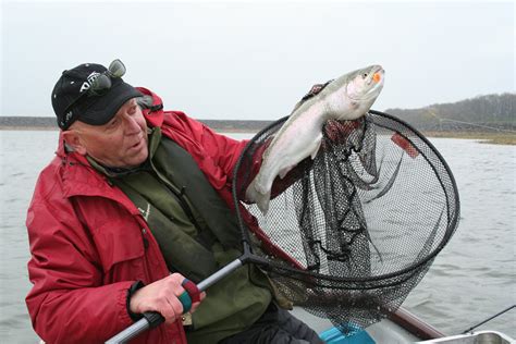 Top 6 Reservoir Fly Fishing Tips for Beginners - Fulling Mill Blog