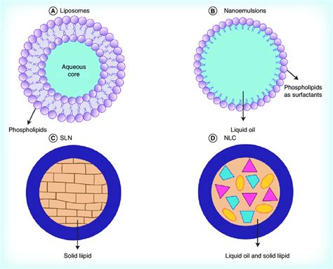 Nanoparticulate structures of (A) liposomes, (B) nanoemulsions, (C ...