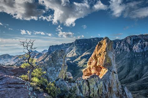 Chisos Mountains Photograph by George Buxbaum - Fine Art America