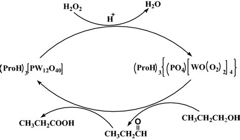 Proposed mechanism of the catalytic oxidation of 1-propanol | Download ...