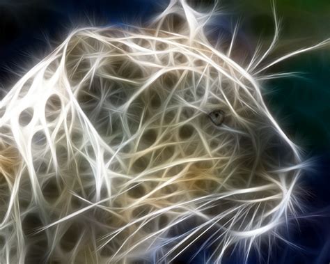 3d Tiger | Wallpaper World