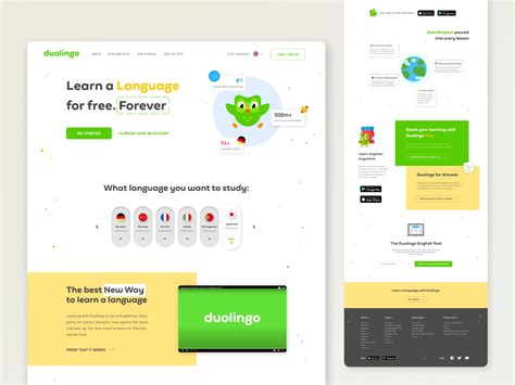 Duolingo re-design by Darya Kruhlyak on Dribbble