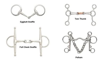 What is a Horse Bit? 16 Types of Horse Bits & Their Uses