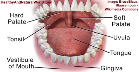 Swollen Uvula (Uvulitis): Causes, Symptoms and Effective Remedies