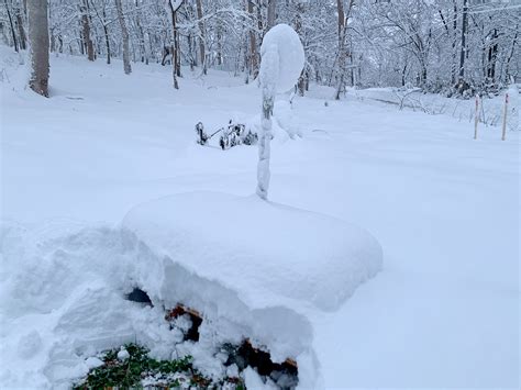 Niseko Snow Report, 10 November 2020 | 360 Niseko