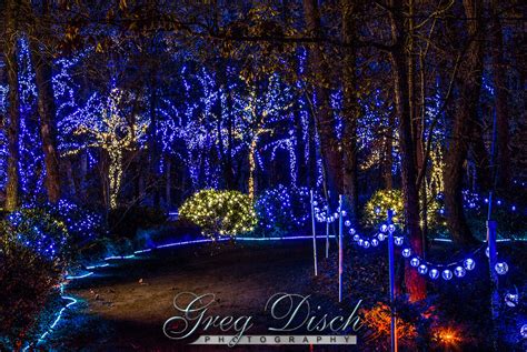 Holiday Lights - Garvan Woodland Gardens20131203-_MG_9944_5_6.jpg ...