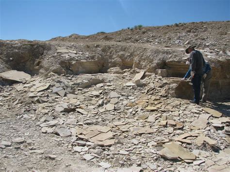 Fossil Fish Dig – Kemmerer Wyoming – Catching Marbles