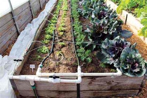 How to Build a Drip Irrigation System – Mother Earth News