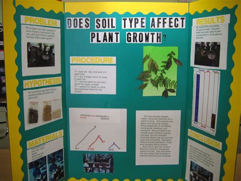 Science Fair Projects On Plants | Good Science Project Ideas