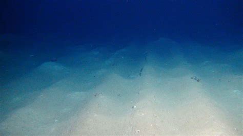 The unseen man-made 'tracks' on the deep ocean floor - BBC Future