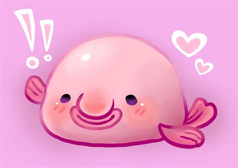 🔥 [20+] Blobfish Wallpapers | WallpaperSafari