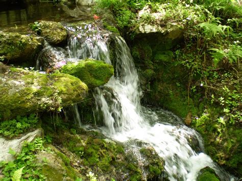 Waterfall at Rainbow Springs State Park, Dunnellon, Florida Dunnellon ...