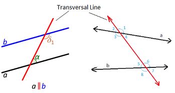 Parallel Lines and Transversal: Definition, Corresponding Angles, Videos