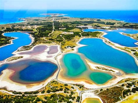 Rottnest Island - Heimat der Quokka | Urlaubsguru.de