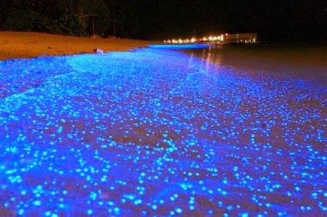 Amazing Places in The World to Visit: Maldives Beach at Night