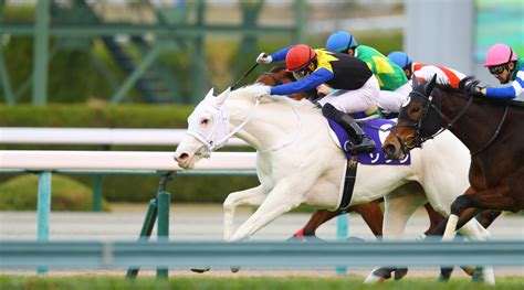 Sodashi and her family: Japan's rare all-white racehorses - Asian ...