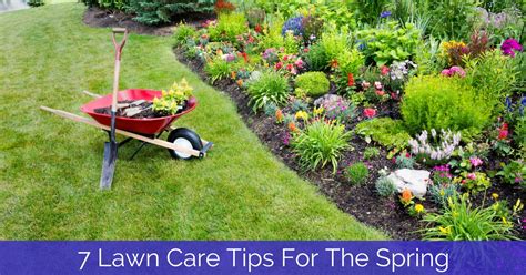 7 Lawn Care Tips For The Spring - Heads Up Irrigation SC