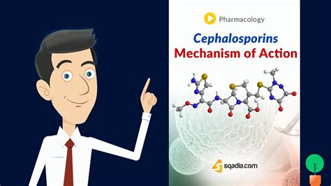 Cephalosporins Mechanism of Action