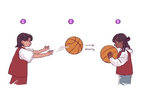 Newton’s 1st Law of Motion – Physics of Basketball – UW–Madison