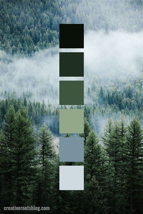 Muted Forest Green Color Palette | Color palette, Color palette design ...