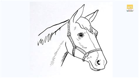 Horse Face Drawing