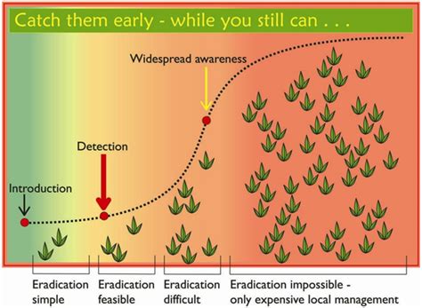 How To Control Invasive Species - Staybite11