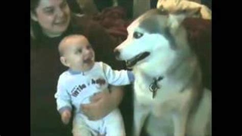 Babies Laughing at Dogs