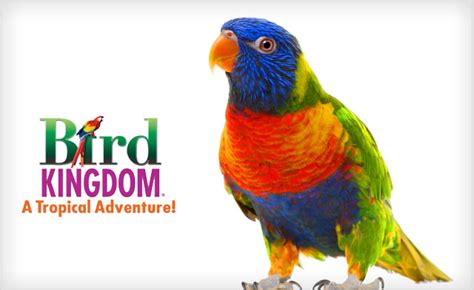 Mar 24: Bird Kingdom - Virtual Field Trip | Youth Assisting Youth