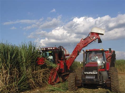 224 Sugar Cane Harvester Brazil Stock Photos - Free & Royalty-Free ...