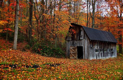 Autumn | Barn pictures, Old barns, Country barns